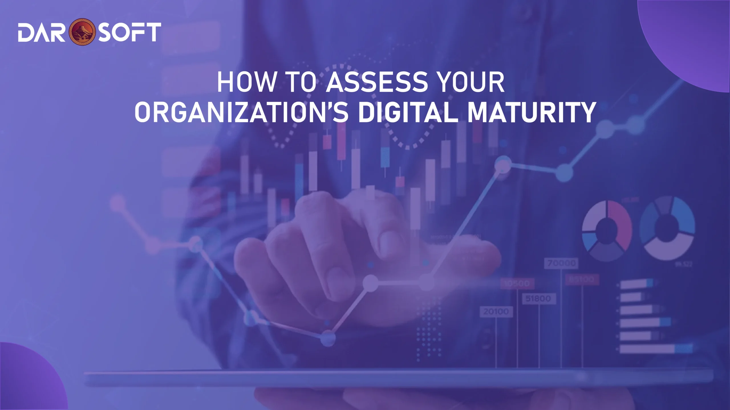 Assess Organisation Maturity